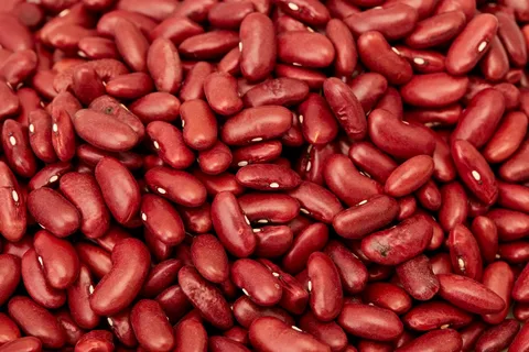 https://shp.aradbranding.com/قیمت خرید لوبیا قرمز درختی با فروش عمده